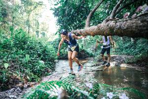 BIB: 
                            <button type="button" onclick="openModal(25437387)" class="btn btn-primary btn-sm float-right btn-popup" data-toggle="modal" data-target=".modal-high-quality">
                        <i class="fas fa-shopping-cart"></i> Add to Cart
                    </button>
                                            <button type="button" onclick="isThisMe(25437387, true)" class="btn btn-success btn-sm float-right btn-popup btn-isme hidden" data-toggle="tooltip" data-placement="bottom" title="นี่คือรูปของคุณใช่ไหม คลิกที่นี่เพื่อเอาเข้าอัลบั้ม">
                        <i class="fas fa-plus"></i> Add to album
                    </button>
                    <button type="button" onclick="isThisMe(25437387, false)" class="btn btn-warning btn-sm float-right btn-popup btn-isnotme hidden">
                        <i class="fas fa-ban"></i> Remove from album
                    </button>